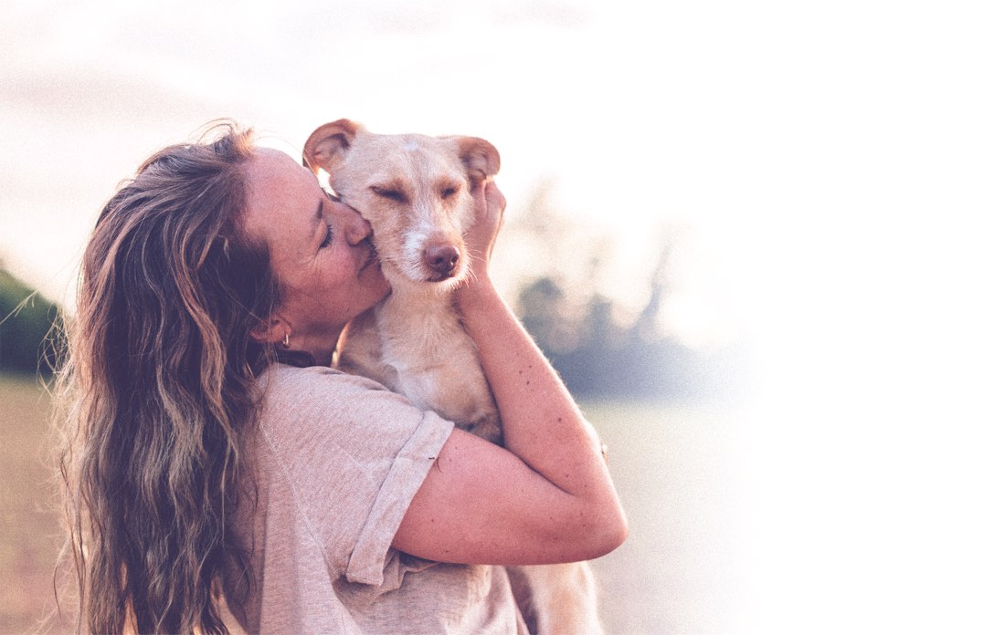 A person hugging their calm, happy dog